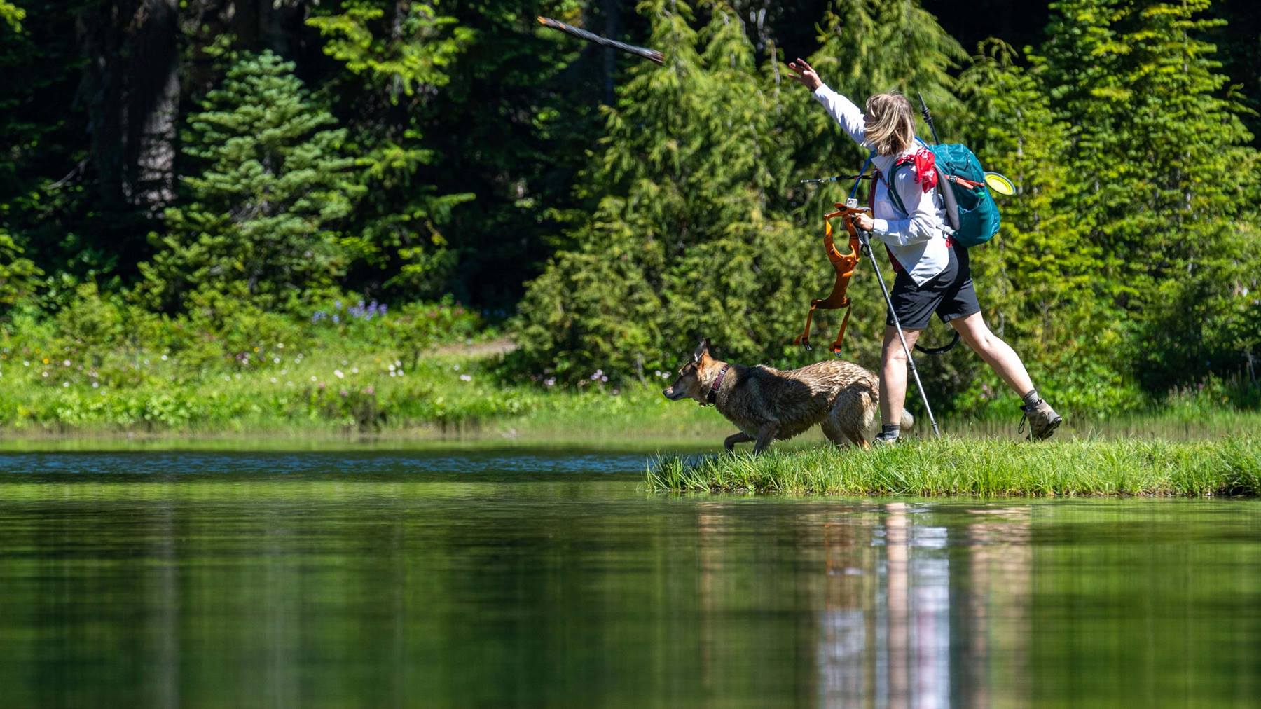 Pet Friendly Hikes - Crystal Mountain