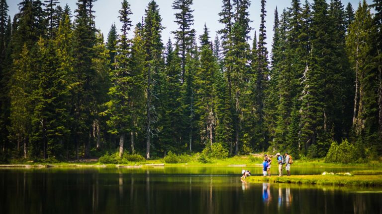 Top 3 Hiking Trails With Wildflowers at Crystal Mountain - Crystal Mountain