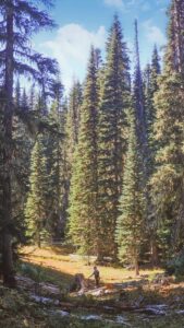 2024-10-02 12_48_41.462-0700