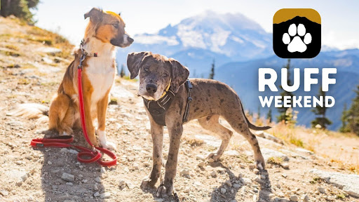 Ruff Weekend - dog and owner hiking