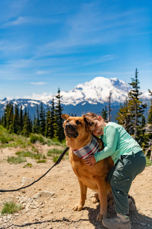 Dog riding the Mount Rainier Gondola at Crystal Mountain