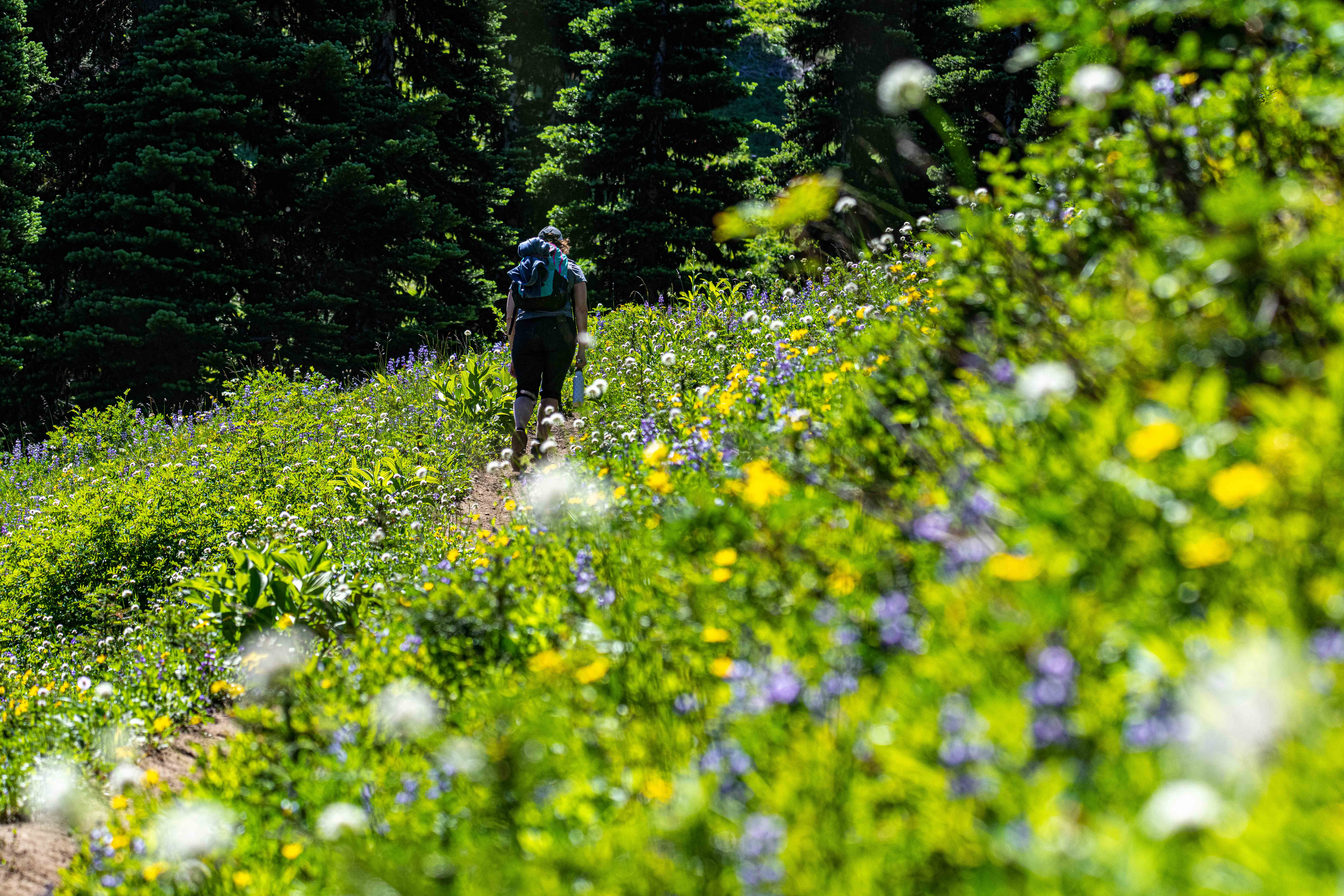 Crystal Mountain hiking